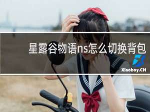 星露谷物语ns怎么切换背包