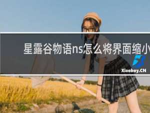 星露谷物语ns怎么将界面缩小