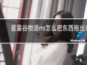 星露谷物语ns怎么把东西拖出来