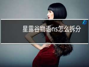 星露谷物语ns怎么拆分