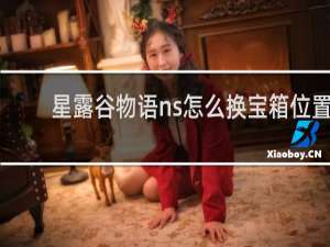 星露谷物语ns怎么换宝箱位置