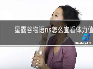 星露谷物语ns怎么查看体力值