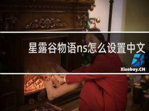 星露谷物语ns怎么设置中文