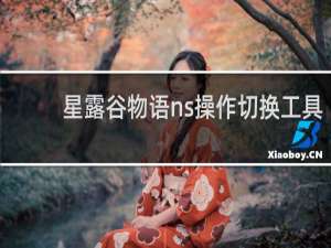 星露谷物语ns操作切换工具