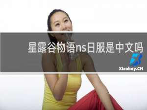星露谷物语ns日服是中文吗