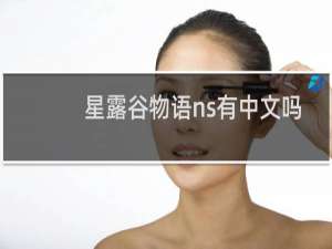星露谷物语ns有中文吗