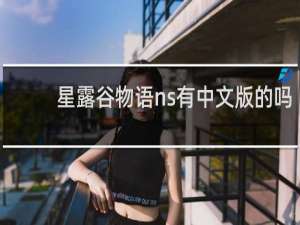 星露谷物语ns有中文版的吗
