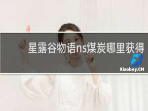 星露谷物语ns煤炭哪里获得