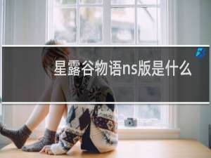 星露谷物语ns版是什么
