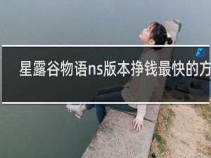 星露谷物语ns版本挣钱最快的方法