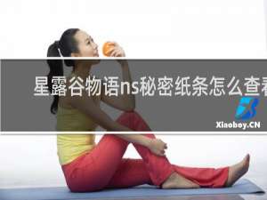 星露谷物语ns秘密纸条怎么查看