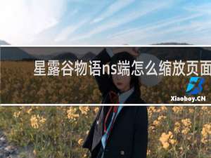 星露谷物语ns端怎么缩放页面