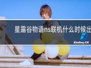 星露谷物语ns联机什么时候出