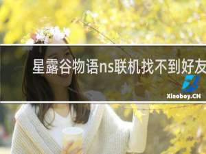 星露谷物语ns联机找不到好友