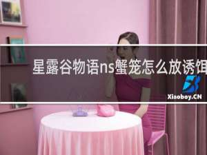 星露谷物语ns蟹笼怎么放诱饵