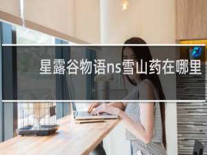 星露谷物语ns雪山药在哪里