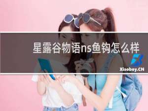 星露谷物语ns鱼钩怎么样