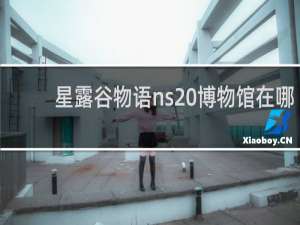 星露谷物语ns 博物馆在哪