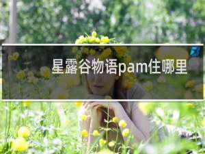 星露谷物语pam住哪里