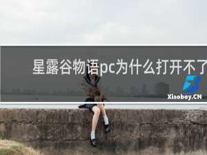 星露谷物语pc为什么打开不了