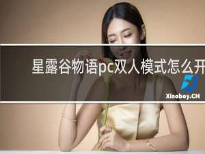 星露谷物语pc双人模式怎么开