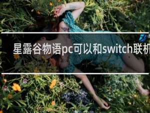 星露谷物语pc可以和switch联机吗