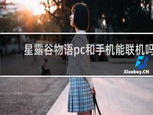 星露谷物语pc和手机能联机吗