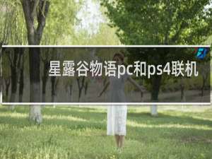 星露谷物语pc和ps4联机