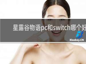 星露谷物语pc和switch哪个好