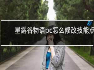 星露谷物语pc怎么修改技能点