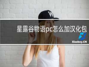 星露谷物语pc怎么加汉化包