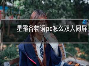 星露谷物语pc怎么双人同屏