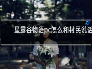 星露谷物语pc怎么和村民说话