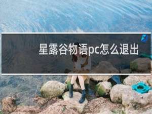 星露谷物语pc怎么退出