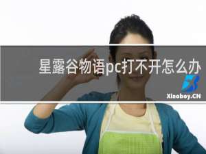 星露谷物语pc打不开怎么办