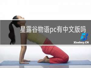 星露谷物语pc有中文版吗