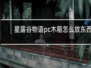 星露谷物语pc木箱怎么放东西