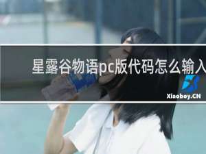 星露谷物语pc版代码怎么输入