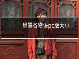星露谷物语pc版大小