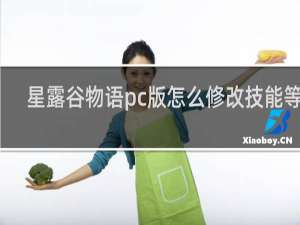 星露谷物语pc版怎么修改技能等级