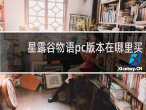 星露谷物语pc版本在哪里买