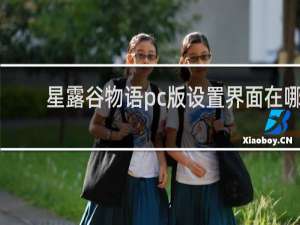 星露谷物语pc版设置界面在哪
