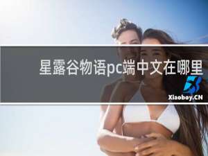 星露谷物语pc端中文在哪里