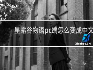 星露谷物语pc端怎么变成中文