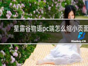 星露谷物语pc端怎么缩小页面