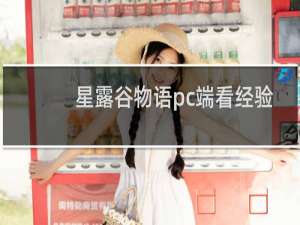 星露谷物语pc端看经验