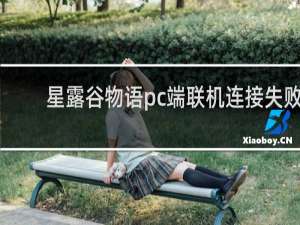 星露谷物语pc端联机连接失败