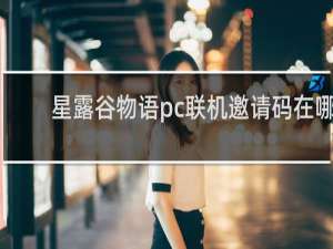 星露谷物语pc联机邀请码在哪