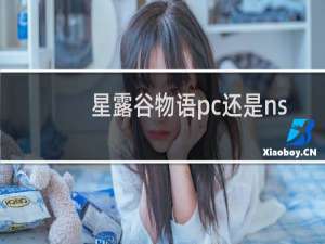 星露谷物语pc还是ns