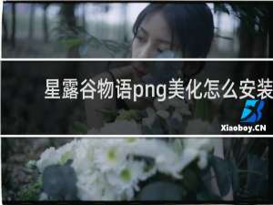 星露谷物语png美化怎么安装